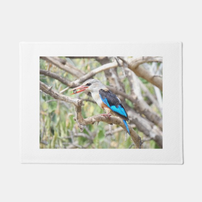 Tapete Africa - Kingfisher (Frente)