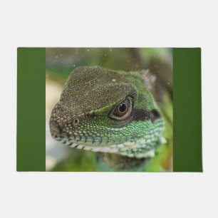 Tapete Agama, lagarto