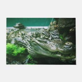 Tapete Alligador