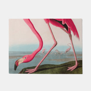 Tapete American Flamingo Birds of America Audubon Impress