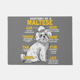 Tapete anatomia de um amante malteses de cães