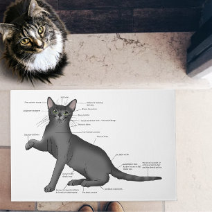 Tapete Anatomia de um Gato