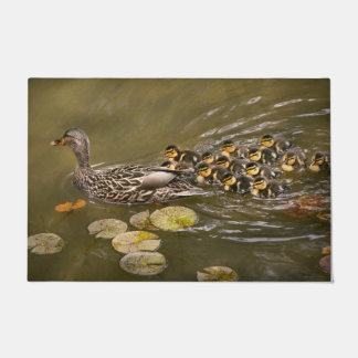 Tapete Animal - Patos - Nadar como um pato