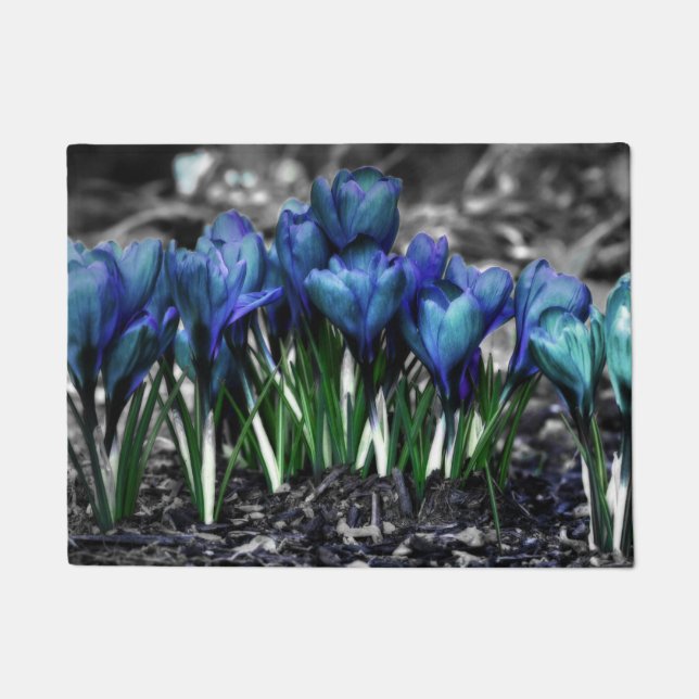 Tapete Aqua Blue Crocus Blooms (Frente)