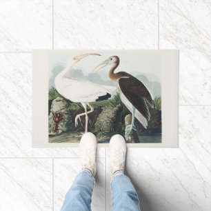 Tapete Arte da Natureza do Íbis Branco Audubon Vintage
