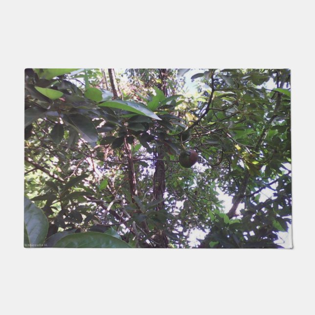 Tapete Árvore Avocado (Frente)