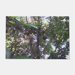 Tapete Árvore de Abacate