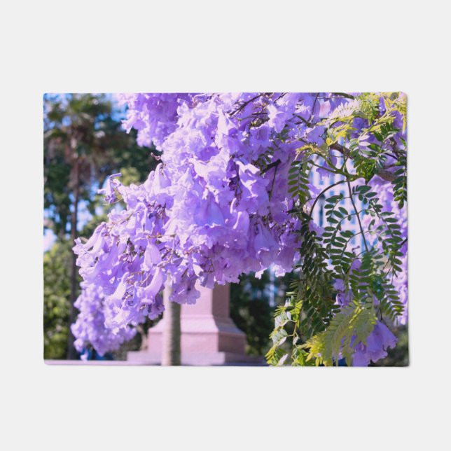 Tapete Árvore princesa roxa de Auckland (Frente)