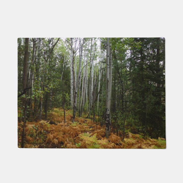 Tapete Árvores Brancas e Fall Ferns na Montanha Rochosa (Frente)