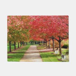 Tapete Árvores de outono ao longo da fotografia