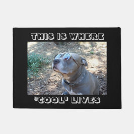 Tapete As pessoas legal refrigeram o Doormat dos cães