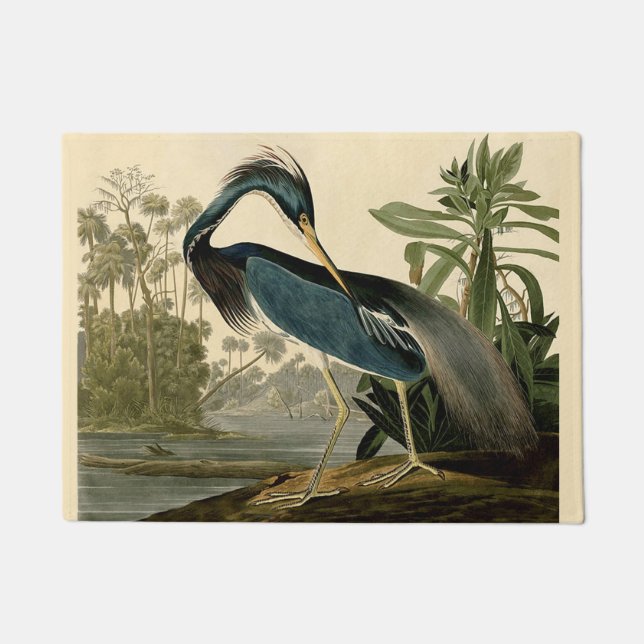 Tapete Audubon Louisiana Heron Birds América Art (Frente)