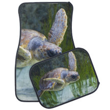 Belo Mar Tartaruga