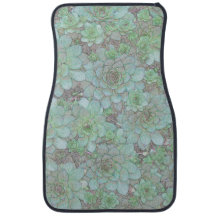 Galinhas E Pintinhos