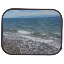 Ondas de Oceano e Cena de Praia