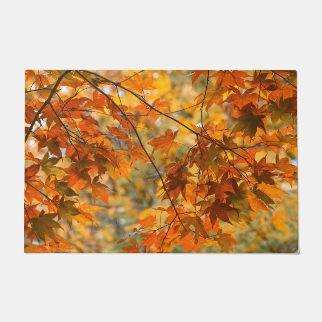 Tapete Autumn Deixa Laranja Fall Foliage  (Frente)