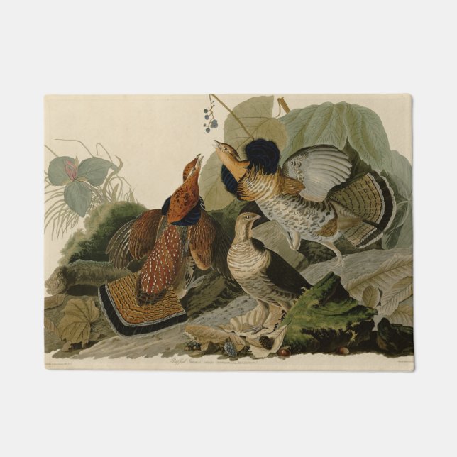 Tapete Ave de Jogo de Audubon do Agrupamento Rachado (Frente)