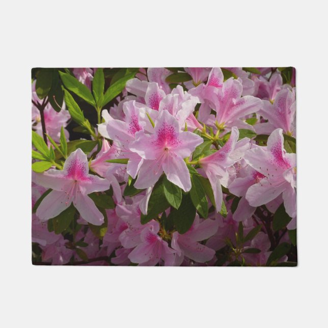 Tapete Azalea Bush Primavera Floral rosa (Frente)