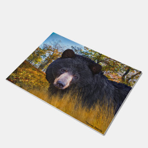 Tapete "Baloo The Bear"