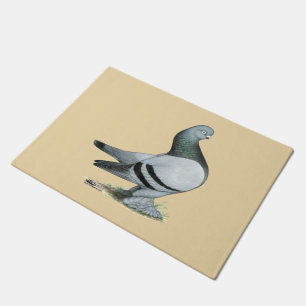 Tapete Bar Azul Berliner Tumbler Pigeon