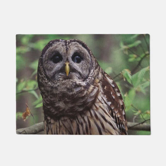 Tapete Barred Owl (Frente)