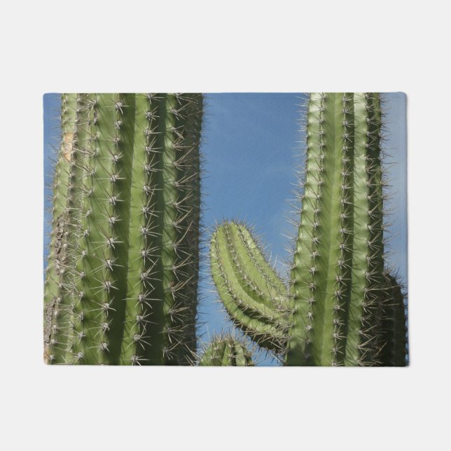 Tapete Barrel Cactus I Desert Photo (Frente)