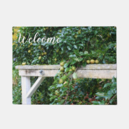 Tapete Bartlett Pears On Tree Country Welcome