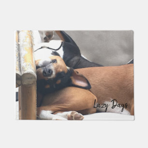 Tapete Basenji e dias preguiçosos!