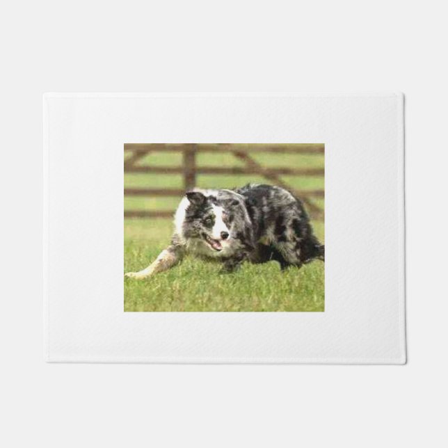 Tapete Beira azul Collie~Joe~Doormat de Merle (Frente)