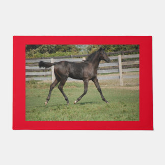 Tapete Bela dança de cavalo no campo