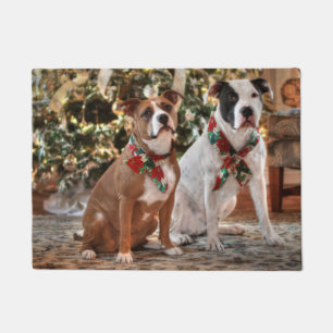 Tapete Bela salvação de Natal Pitbull e Boi Cão da Améric