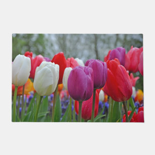Tapete Beleza das tulipas coloridas