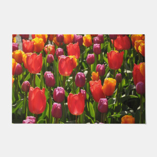 Tapete Beleza das tulipas primavera coloridas