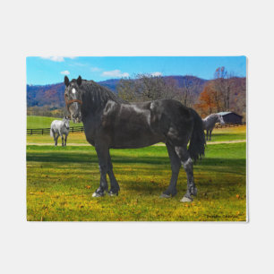 Tapete "Big Sam" Pormat