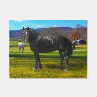 Tapete "Big Sam" Pormat