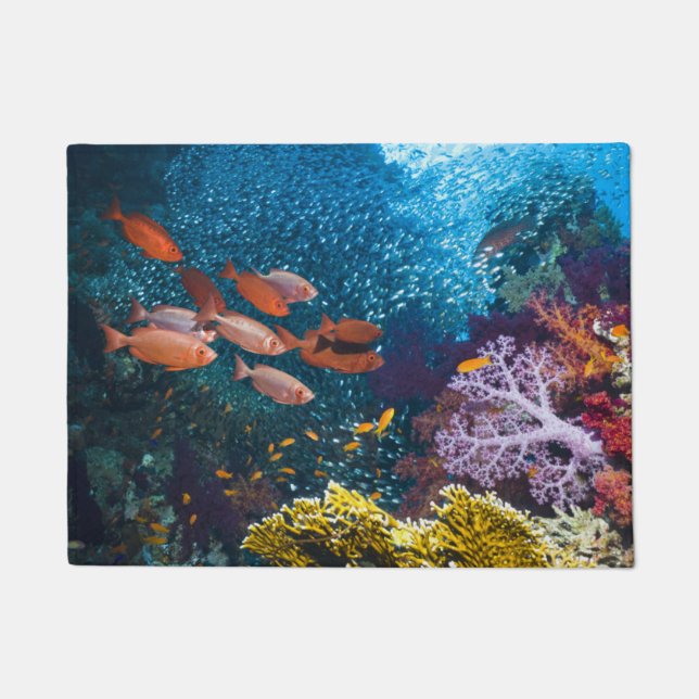 Tapete Bigeye ou Óculos de proteção-Olho do cenário | do (Frente)