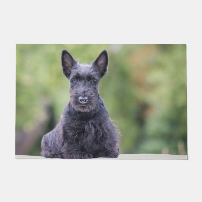 Tapete Black Scottish Terrier (Frente)