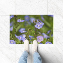 Blogues de flores do jardim