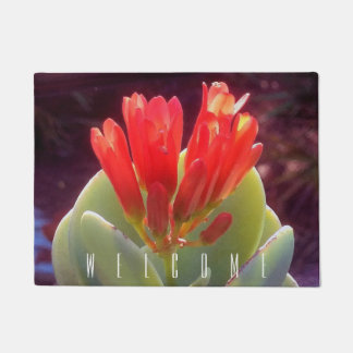 Tapete Blooming Agave