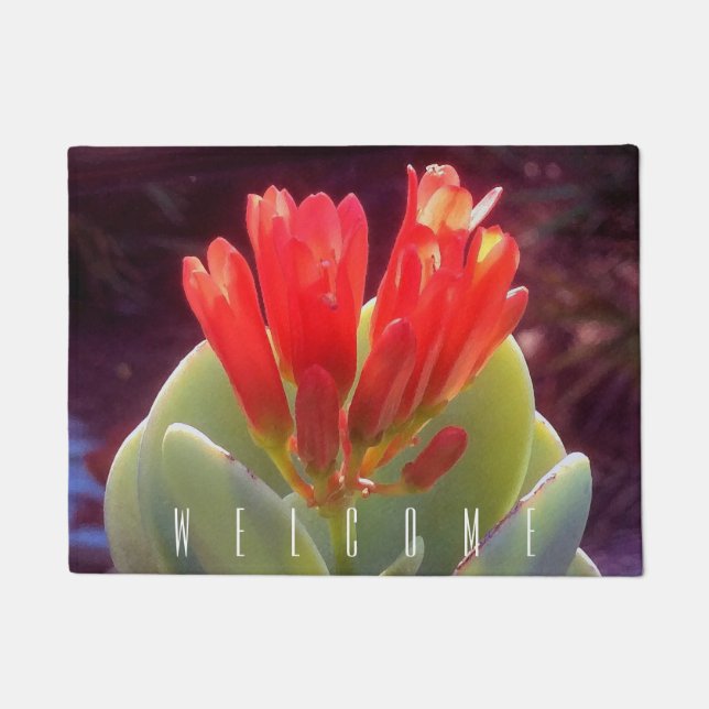 Tapete Blooming Agave (Frente)