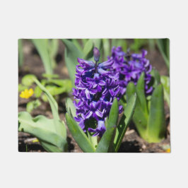 Tapete Blue Geocinth em primavera