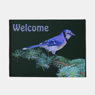 Tapete Blue Jay