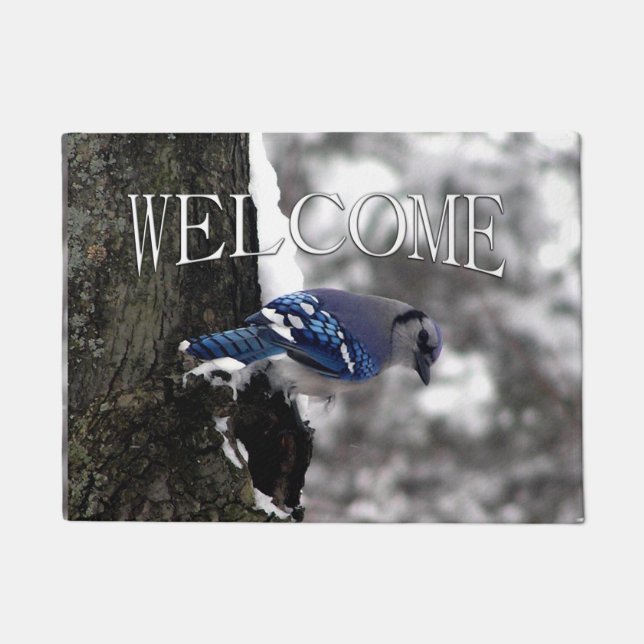 Tapete Blue Jay de inverno (Frente)