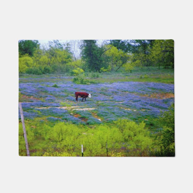 Tapete Bluebonnets em Texas (Frente)