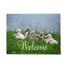 Boa vinda bonito dos bebês da cisne