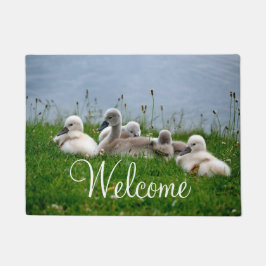 Tapete Boa vinda bonito dos bebês da cisne