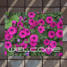 Boas-vindas a Petunias, cor-de-rosa,