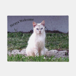 Tapete Boas-vindas a Stray Cat Doormat