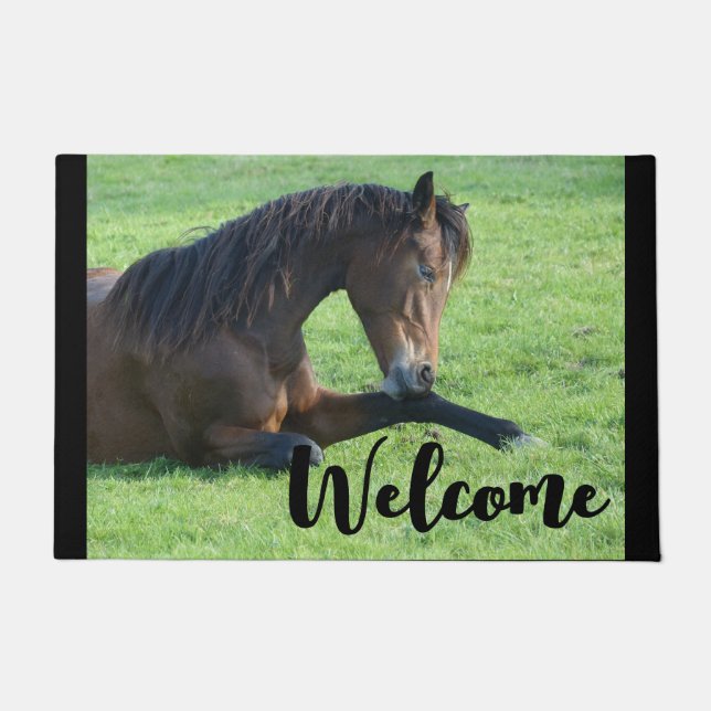 Tapete Bonito Cavalo Castanho Amarrando na Grama de Boas- (Frente)