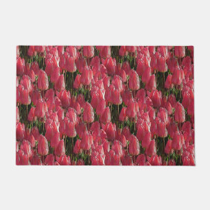 Tapete Bonito Tulipas Rosa